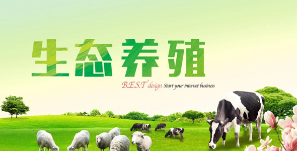 XH02 – 畜牧养殖农场企业